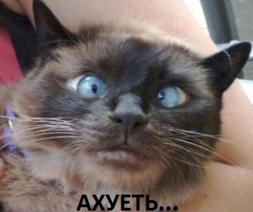 Весёлые картинки. Разбавим будни