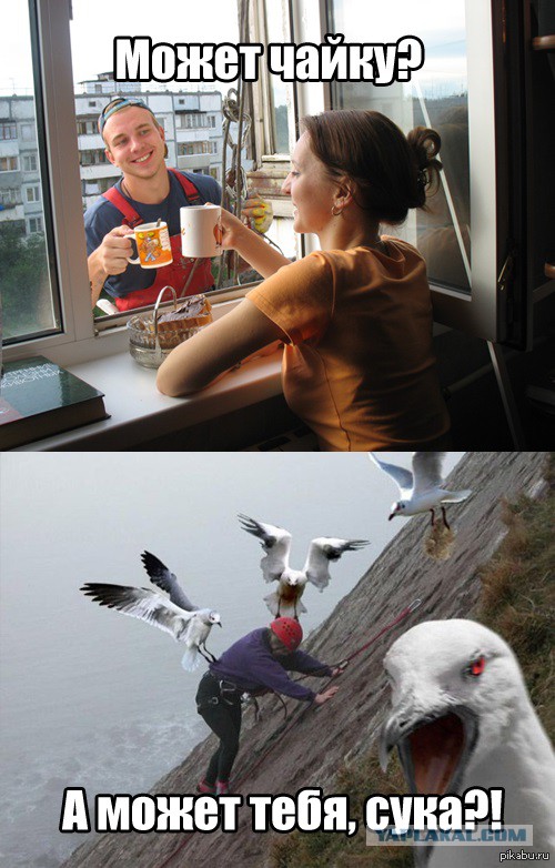 Поклонская и господин Чайка