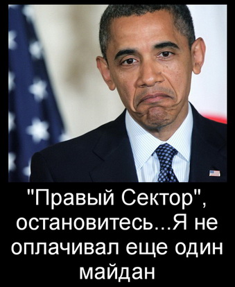 США и ЕС осудили Правый Сектор.