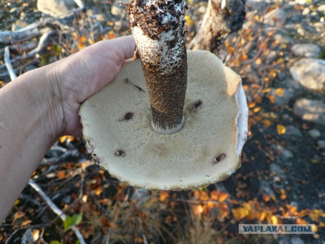 Серебрянское водохранилище.