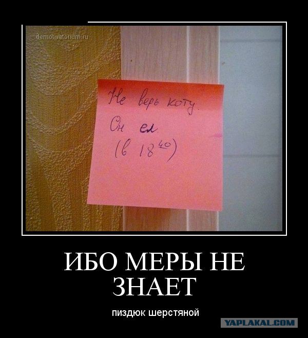 С миру по нитке. Демотиваторов чуть