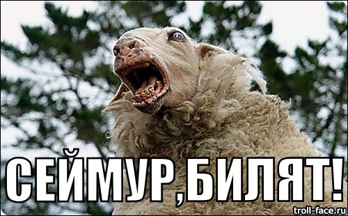 17-летний Сеймур сбил полицейского и решил уехать
