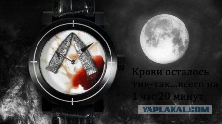 Второй этап конкурса «Шеф-повар 2014»