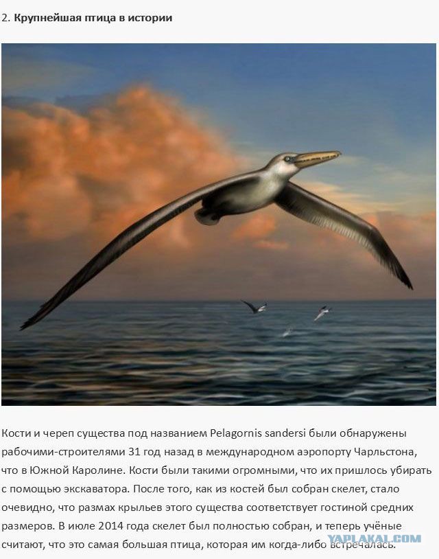 20 фактов обо всем