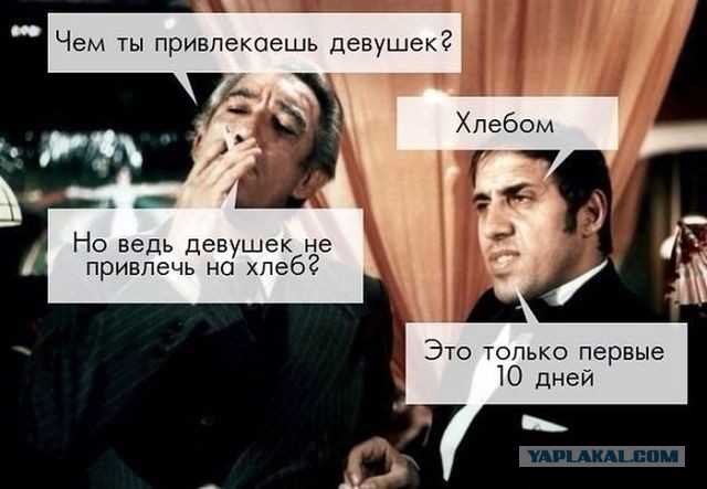 Удивительные и малоизвестные факты о дельфинах