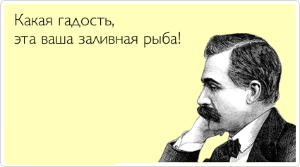 Мои рептилии и арахниды