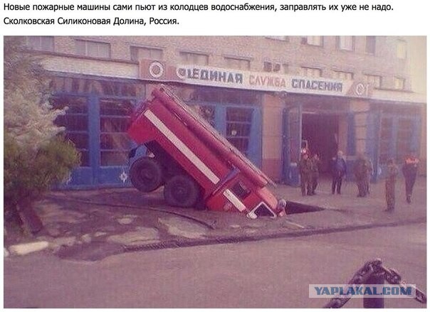Веселые картинки на пятницу