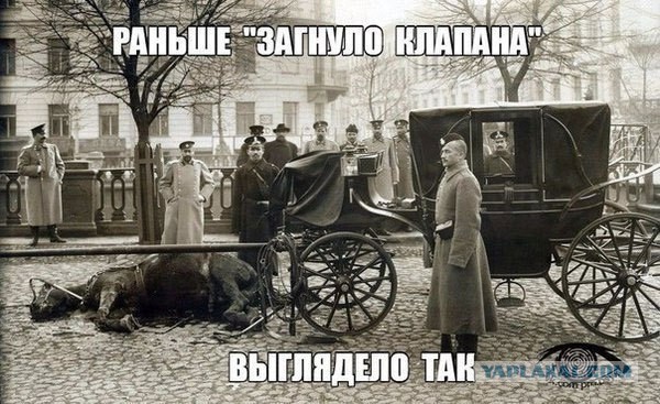 Наркоманский юмор