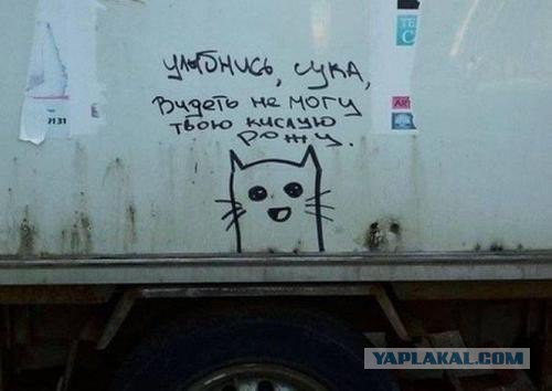 Картинки на пятницу