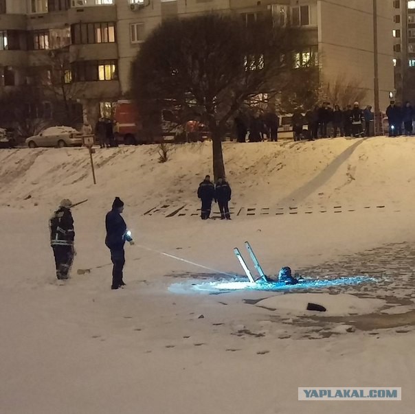 Не перевелись еще идиоты