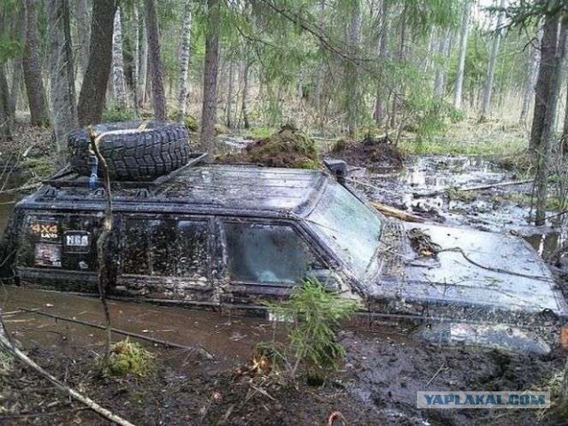 Подборка автоприколов.