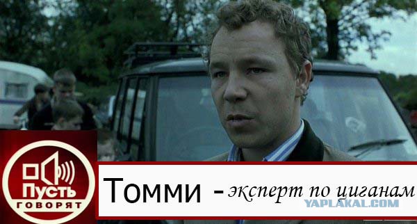 Цыганские зайчихи