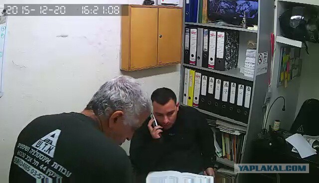 За что я люблю китайцев