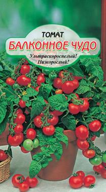 Как я помидоры "Балконное чудо" выращивал.
