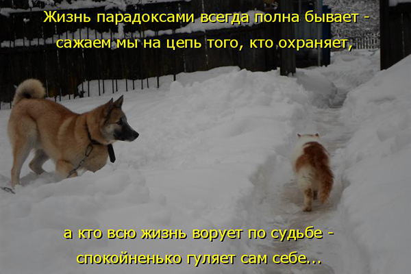 Веселые картинки