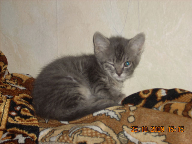 Мимимишности пост