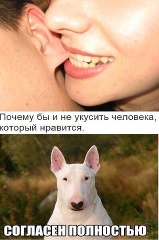 Очередная подборка картинок из интернета
