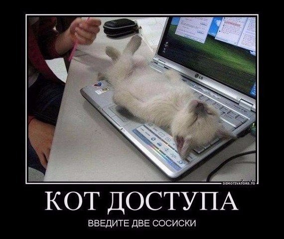 Мохнатые беспредельщики
