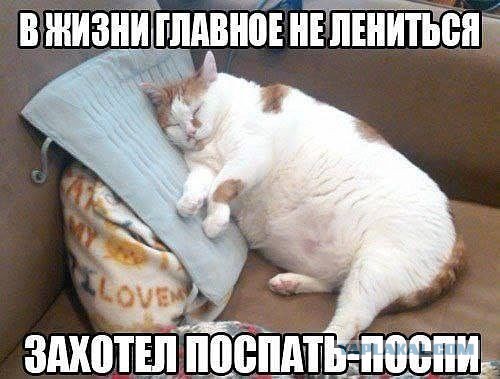 Картинки из сети