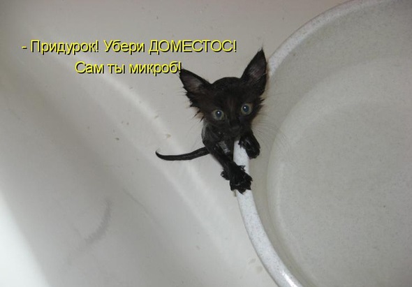 Для Поднятия Настроения