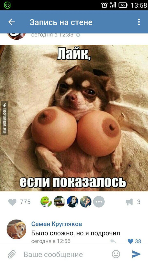 Ужасы и приколы из соцсетей 18+