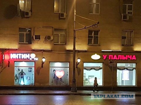 Весёлые картинки