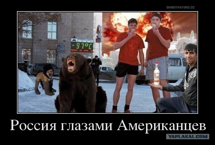 Медведи на красной площади