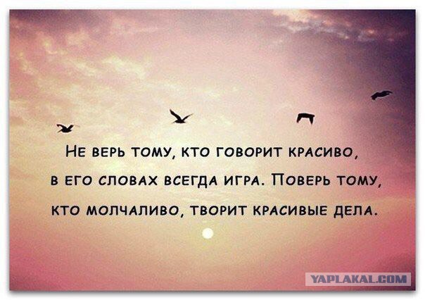 Смотрел выступление Жириновского в 2014 году и удивляюсь,почему его не посадили?