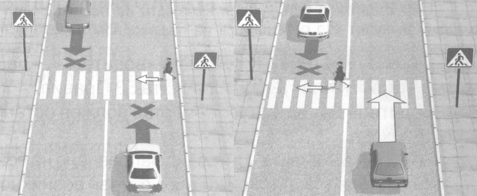 Правила пропуска пешеходов на пешеходном