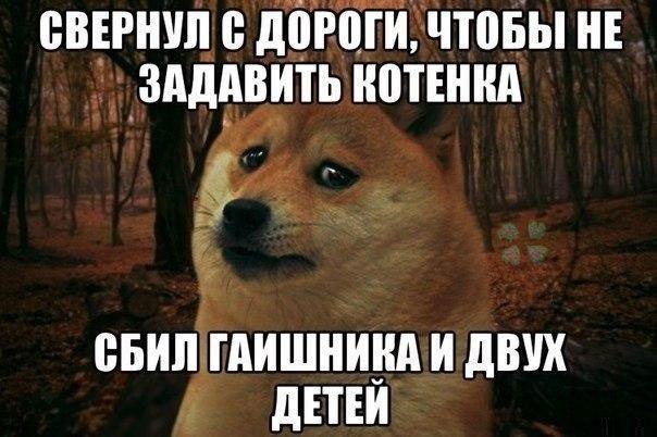 И еще немного картинок...
