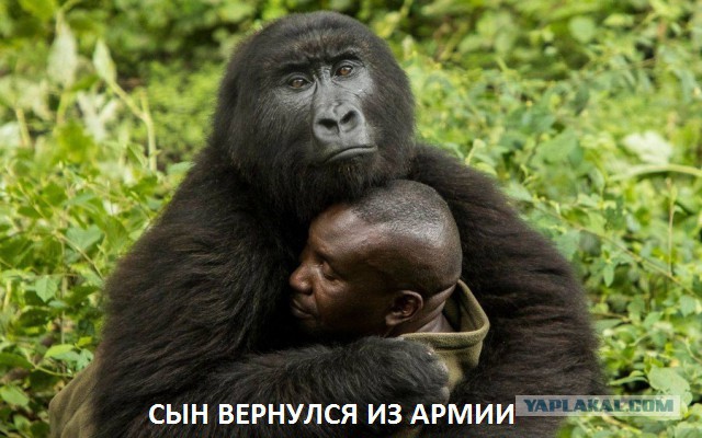 Подборка интересных и веселых картинок