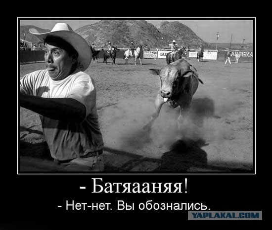 Бурундучья история