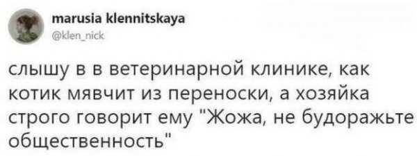 Немного картинок в этот понедельник