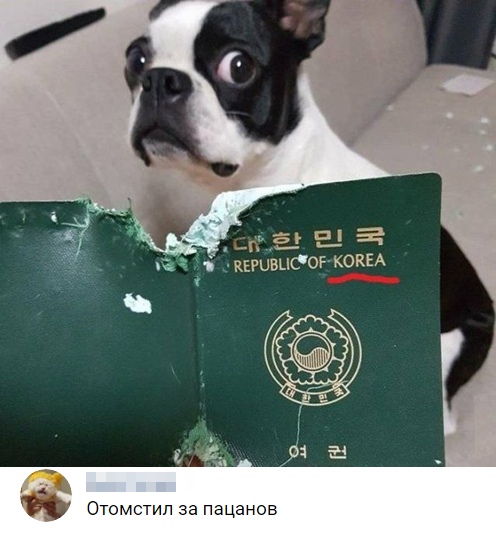 Нестандартный юмор