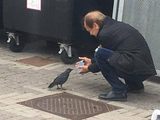 Прикольные картинки абавсём
