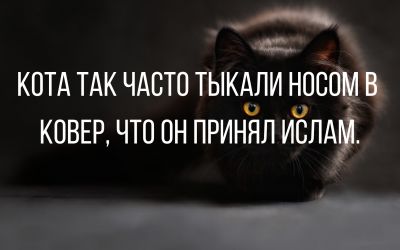 Немного картинок на вечер