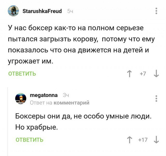 Куда катится жизнь