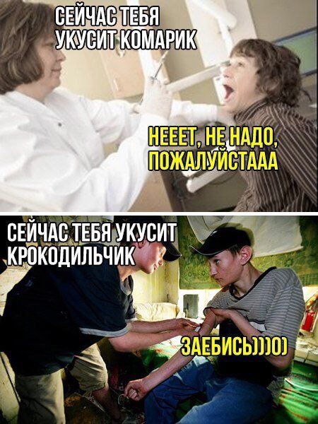 Отряды быстрого деградирования