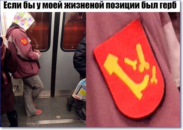 Применим физику в постели или белка и стрелка. Картинки