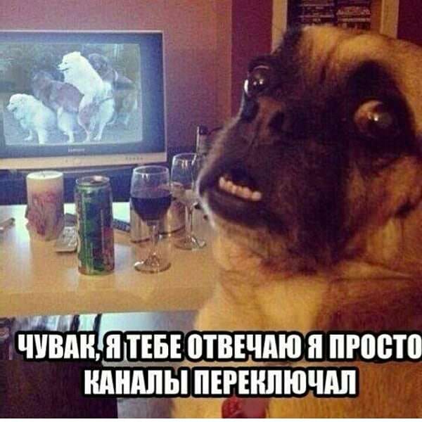 Немного картинок для настроения