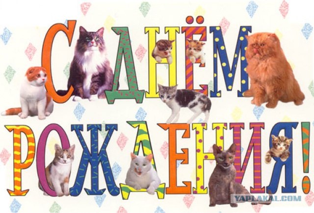 7  лет сайту ЯПлакалъ!