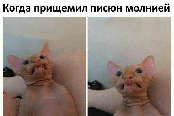 Бредзона 23.11.19