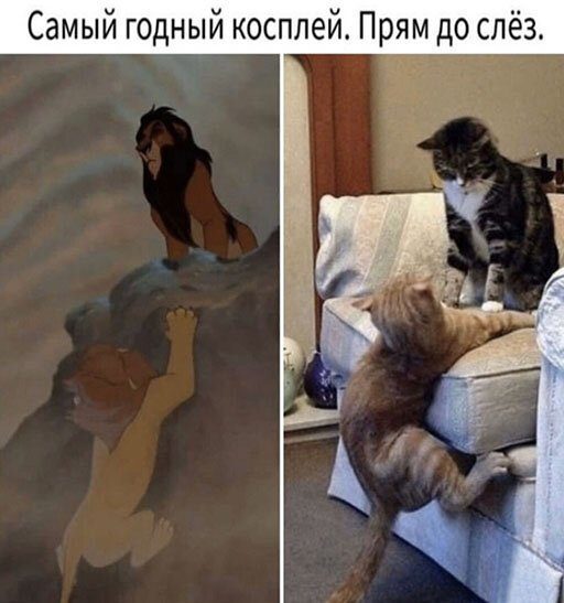 Картинки с надписями, истории и анекдоты 24.11.19
