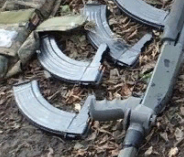 В американском парке обнаружили мужчину, который около 10 лет жил в землянке