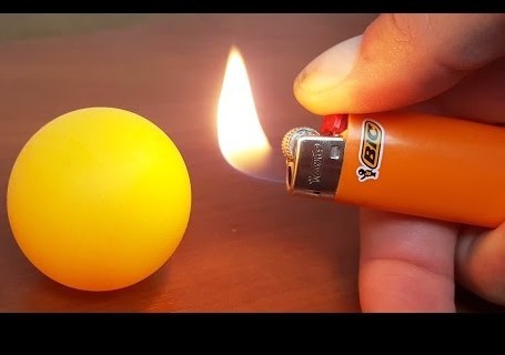 20 снимков «с запахами», которые можно почувствовать сквозь монитор