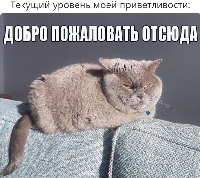 Какие народы России не любят друг друга