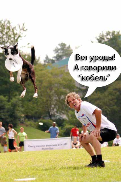 Пошёл на взлёт
