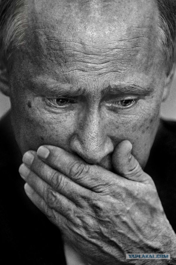 ЛуносрачЪ. Критика критики немогликов