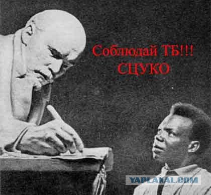 Фотожаберы откликнитесь: техника безопасности