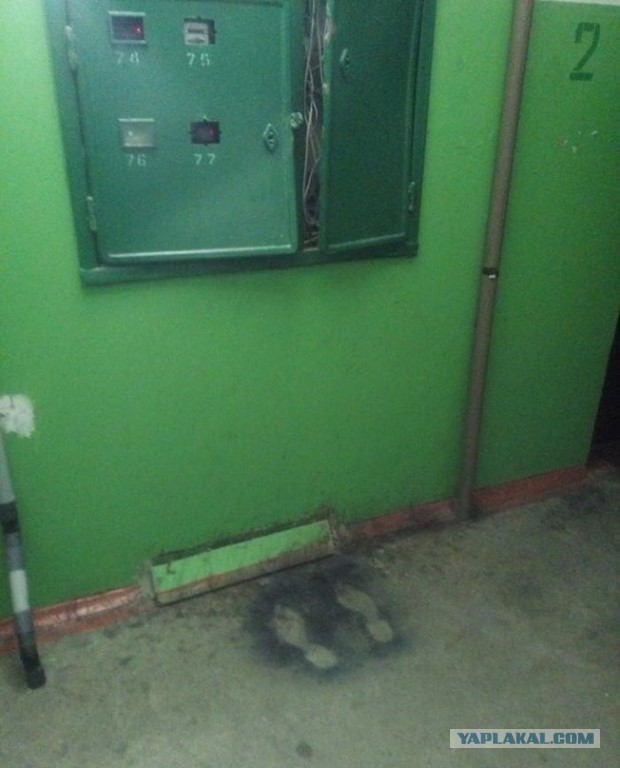 Зачем нужен муж в городе в 21 веке? Давайте теперь рубанем правду.